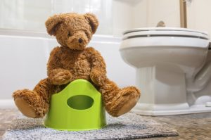 Teddy bear showing how to use toilet